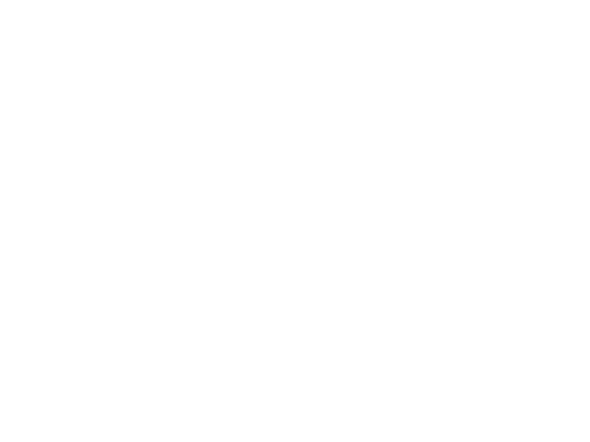 Formula Bilişim